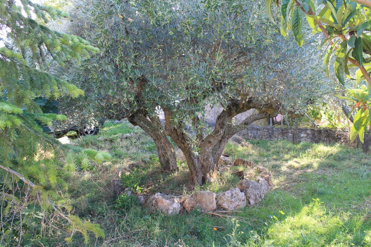 Romancos Casa Rural Baobab מראה חיצוני תמונה